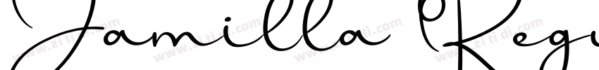 Jamilla Regular字体转换